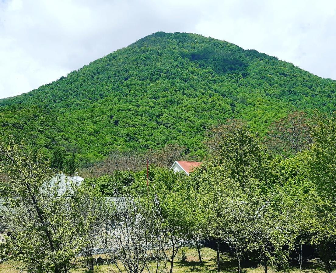 Gabala Sweet Home Екстер'єр фото