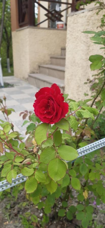 Gabala Sweet Home Екстер'єр фото